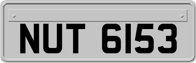 NUT6153