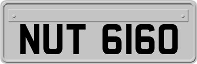NUT6160