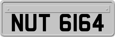NUT6164