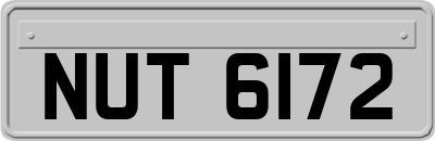NUT6172