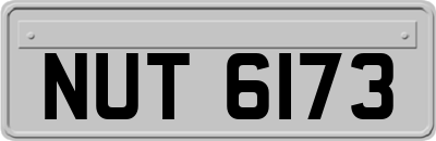 NUT6173