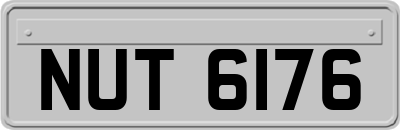 NUT6176