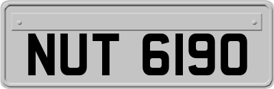 NUT6190