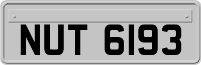 NUT6193