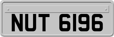 NUT6196