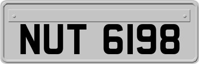 NUT6198