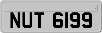 NUT6199