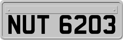 NUT6203