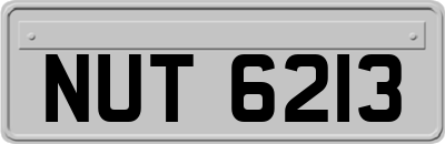 NUT6213