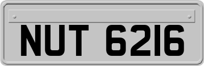 NUT6216