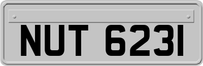 NUT6231