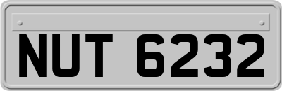 NUT6232