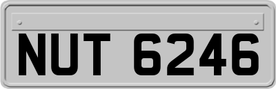 NUT6246