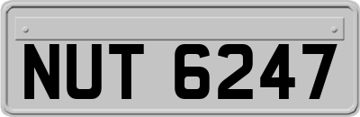 NUT6247