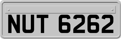 NUT6262