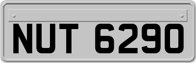 NUT6290