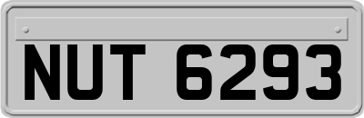 NUT6293
