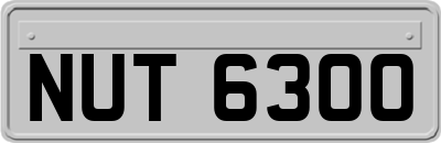 NUT6300