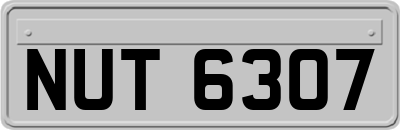 NUT6307