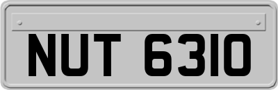 NUT6310