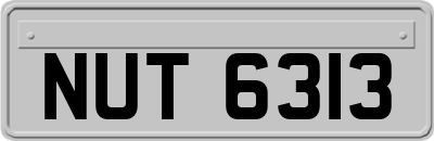 NUT6313