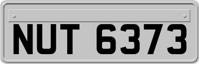 NUT6373