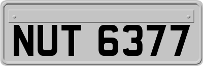 NUT6377