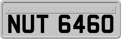 NUT6460
