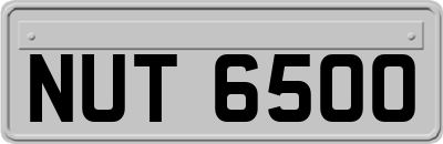 NUT6500
