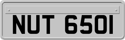 NUT6501
