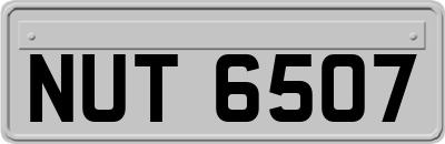 NUT6507