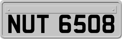 NUT6508
