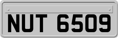 NUT6509