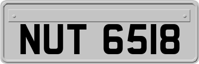 NUT6518