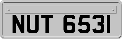 NUT6531