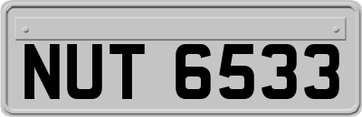 NUT6533