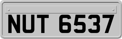 NUT6537
