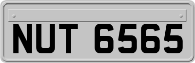 NUT6565