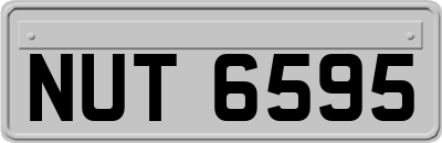 NUT6595