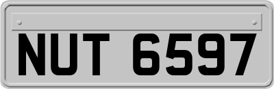 NUT6597