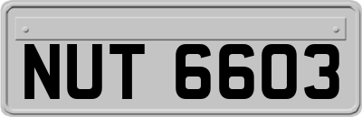 NUT6603