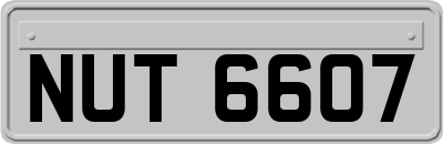 NUT6607