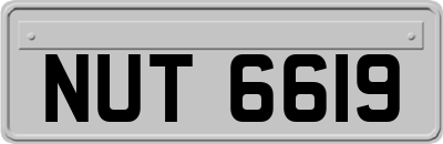 NUT6619