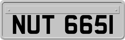 NUT6651