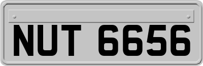 NUT6656