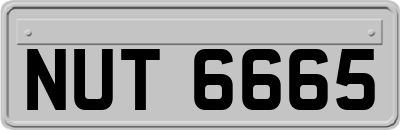 NUT6665