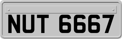 NUT6667