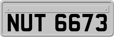 NUT6673