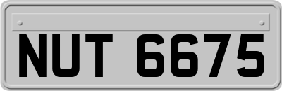 NUT6675