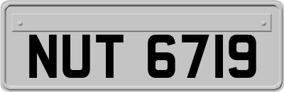 NUT6719
